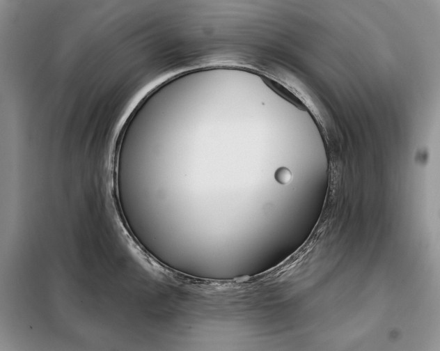 X0000098051148200804111306