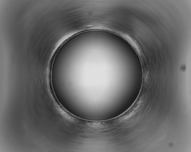 X0000098051149200804111306