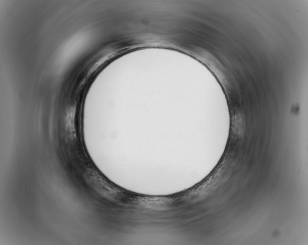 X0000098051150200804111306