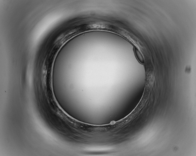 X0000098051151200804111306