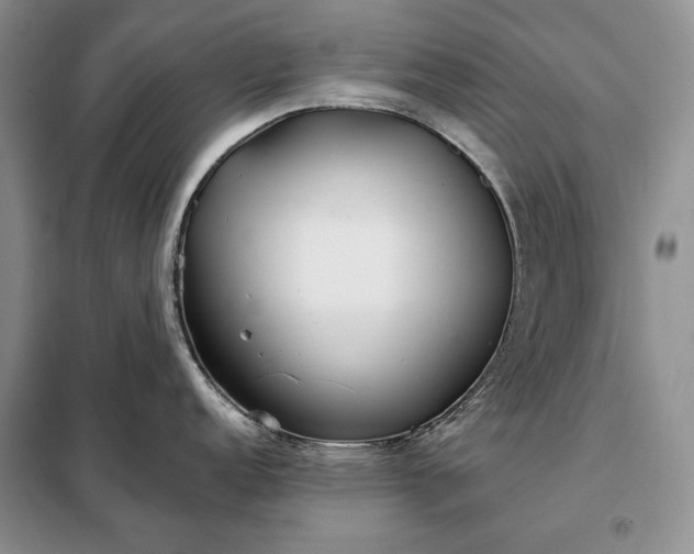 X0000098051152200804111306