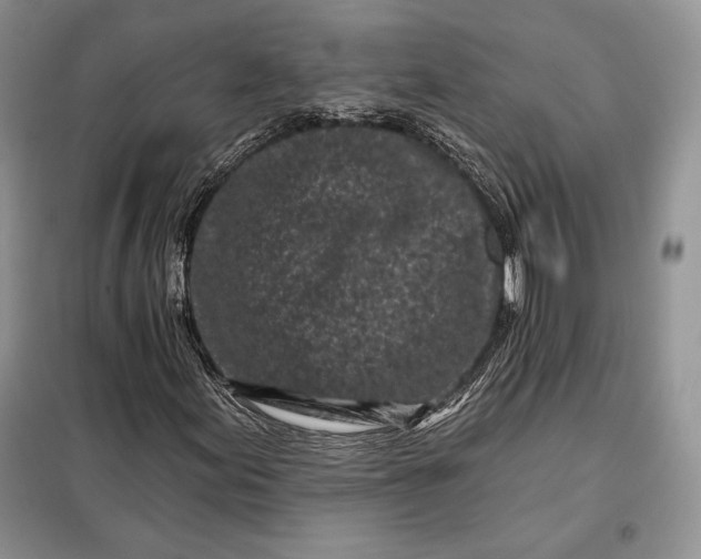 X0000098051155200804111305