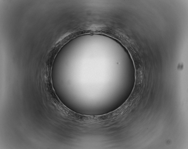 X0000098051158200804111305