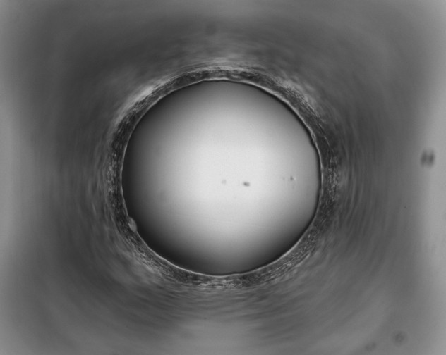 X0000098051159200804111305