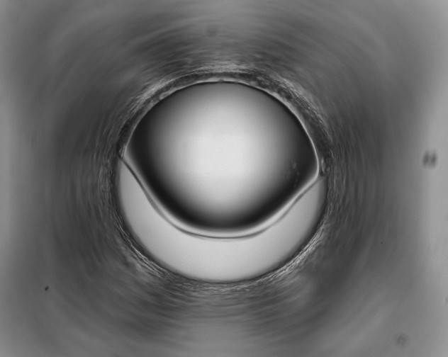 X0000098051161200804111305