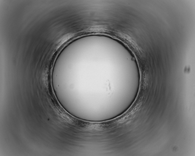 X0000098051162200804111305