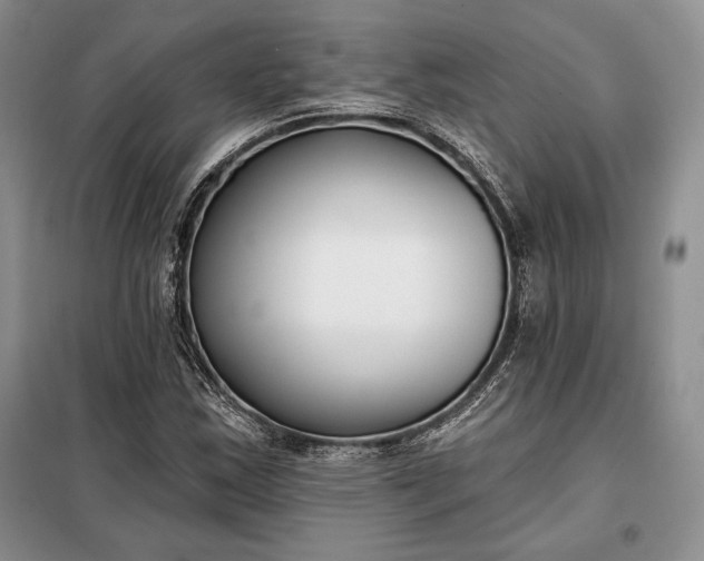 X0000098051163200804111305