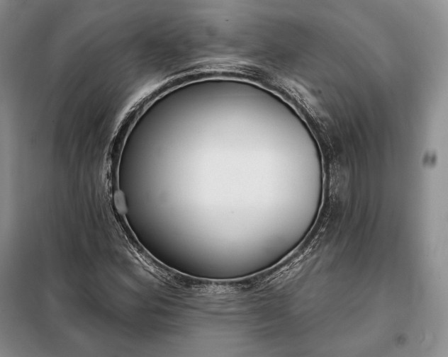 X0000098051164200804111305