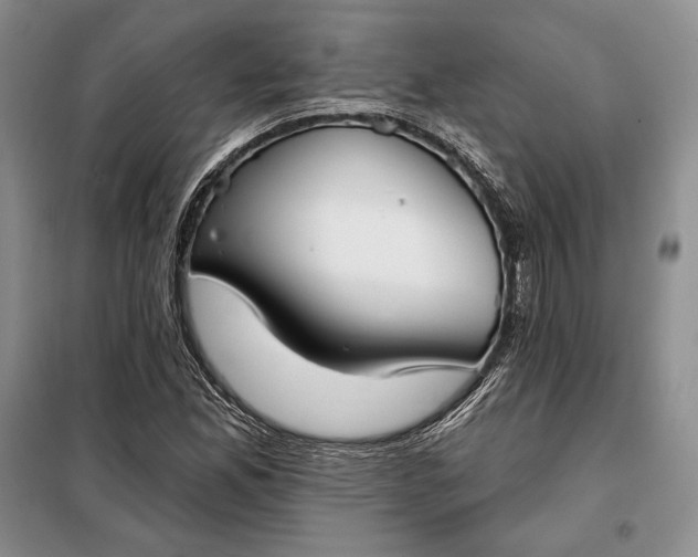 X0000098051165200804111305