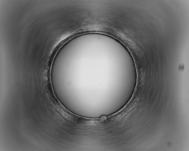 X0000098051166200804111305