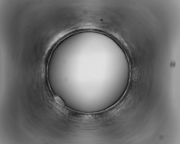 X0000098051167200804111305