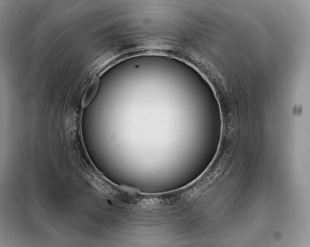 X0000098051169200804111305