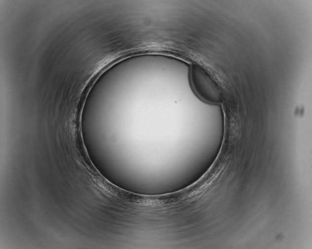 X0000098051170200804111305