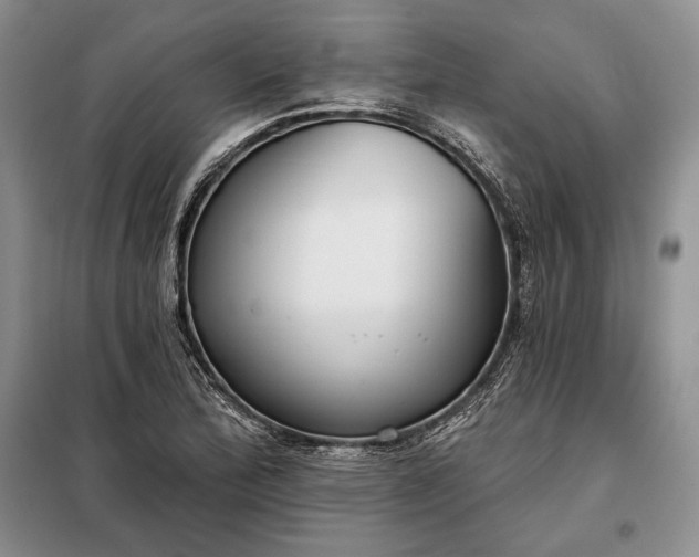 X0000098051172200804111305