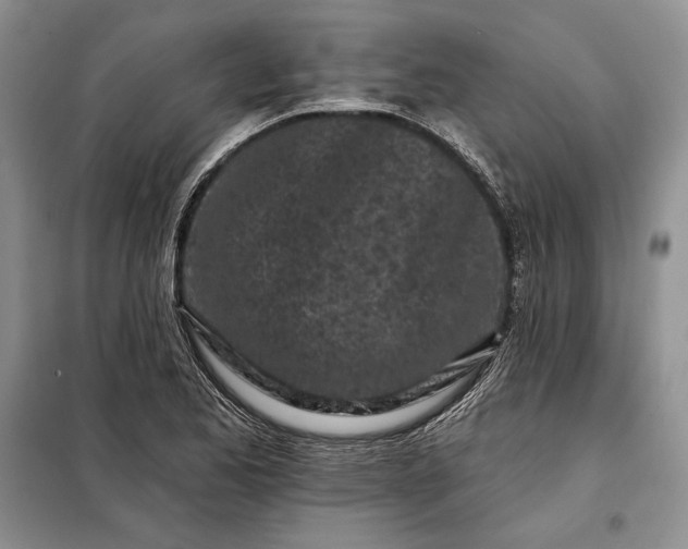 X0000098051173200804111305