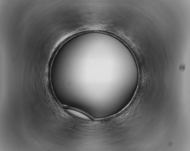 X0000098051174200804111305