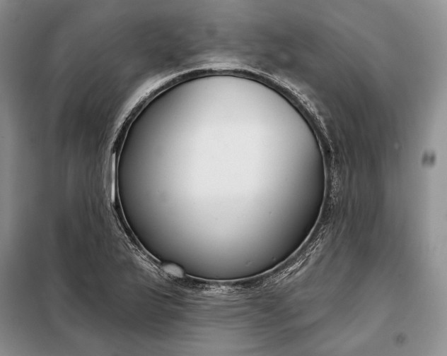 X0000098051175200804111305