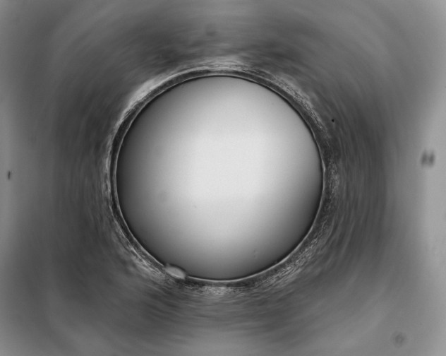 X0000098051176200804111305