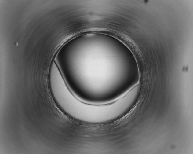 X0000098051177200804111305