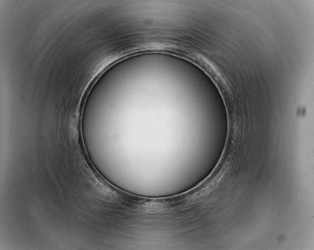 X0000098051178200804111305