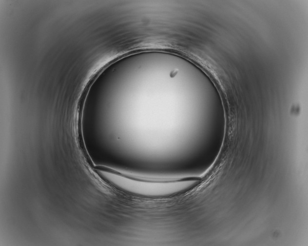 X0000098051179200804111305