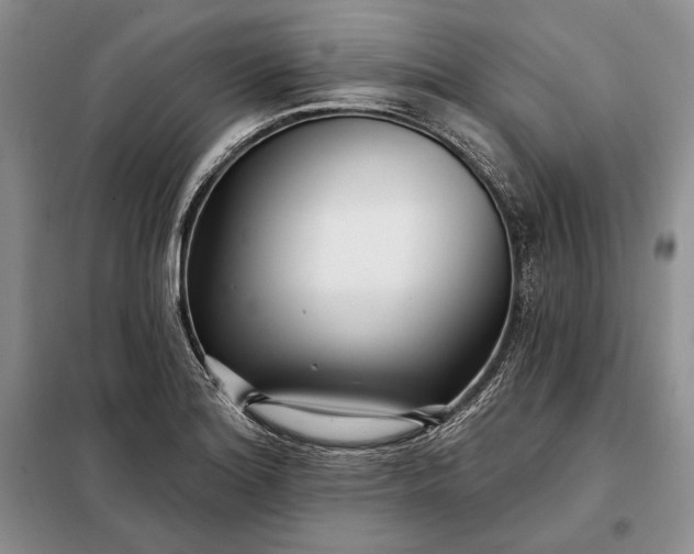 X0000098051180200804111305