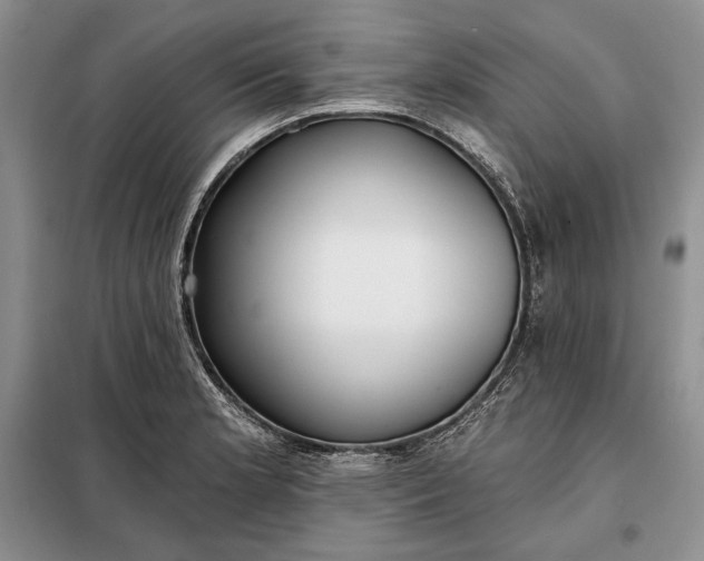 X0000098051181200804111305