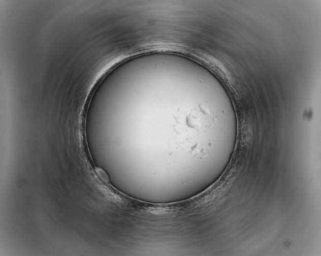 X0000098051182200804111305