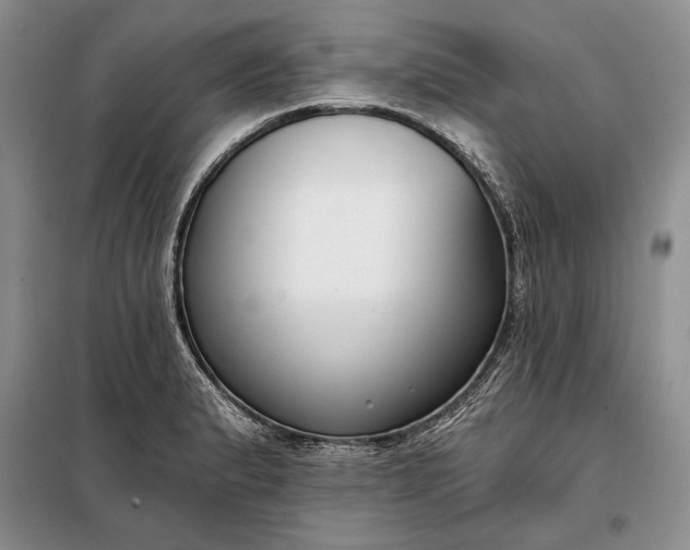 X0000098051183200804111305