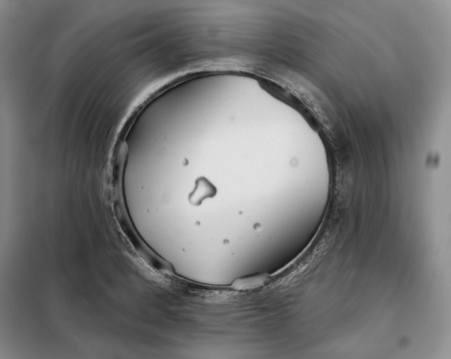 X0000098051184200804111305