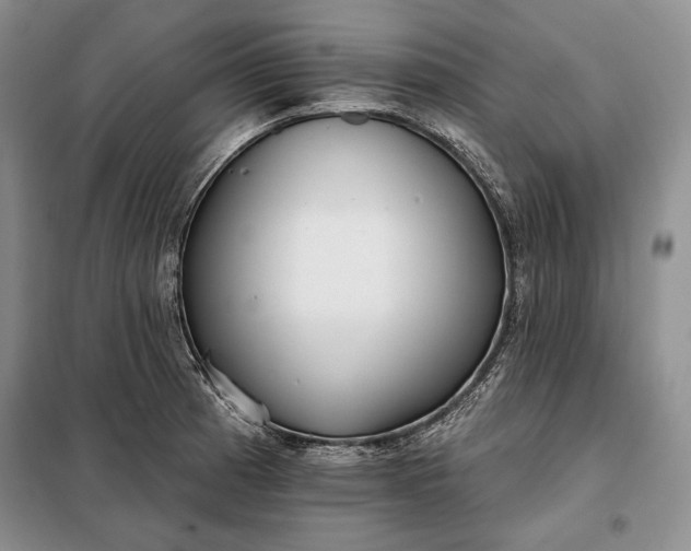 X0000098051185200804111305