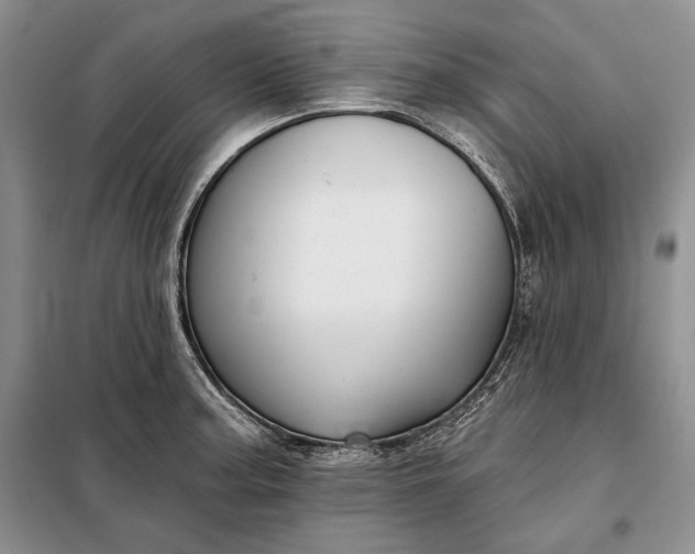 X0000098051187200804111305