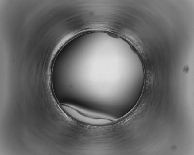 X0000098051188200804111305