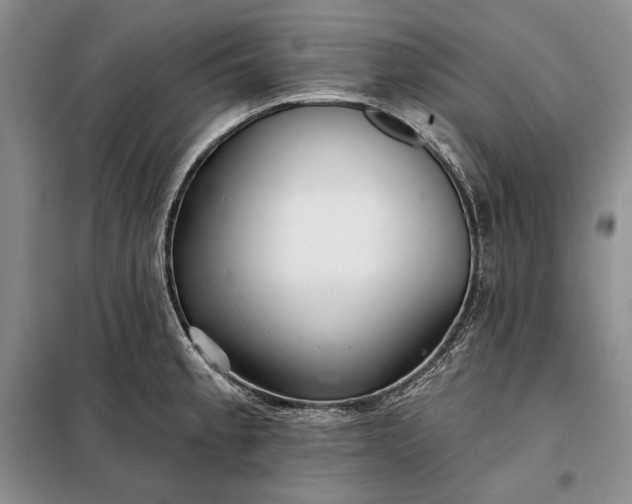 X0000098051189200804111305