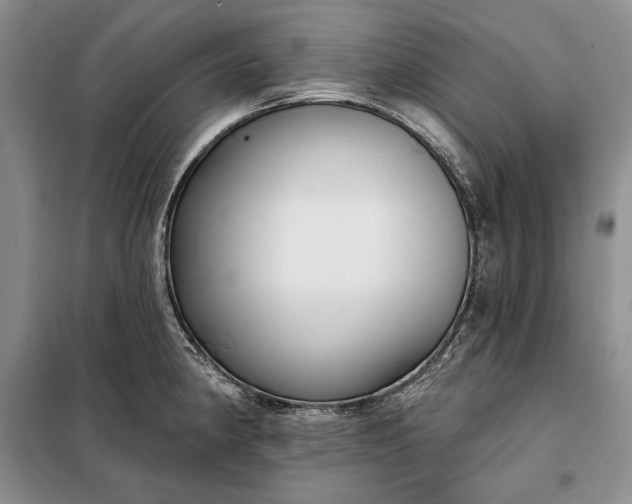 X0000098051190200804111305