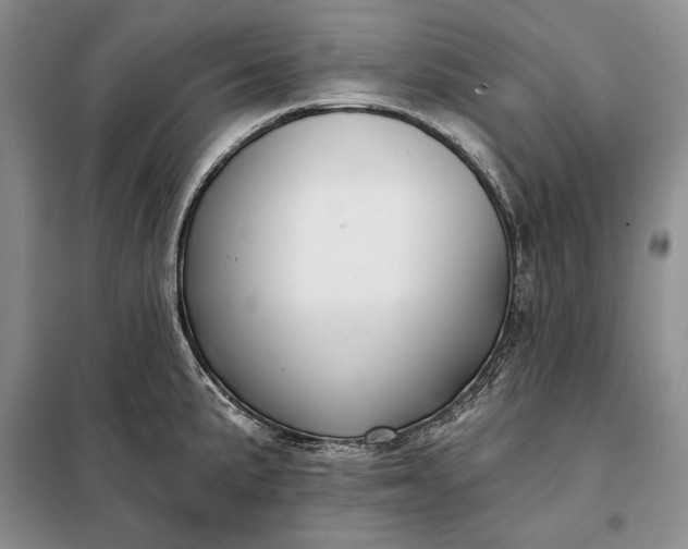 X0000098051191200804111305