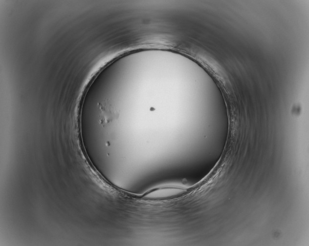 X0000098051192200804111305