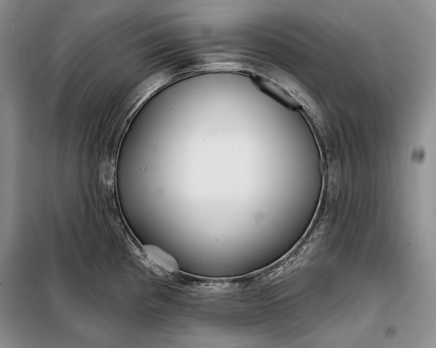 X0000098051193200804111305