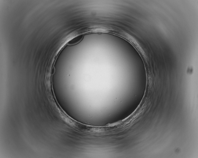 X0000098051194200804111305