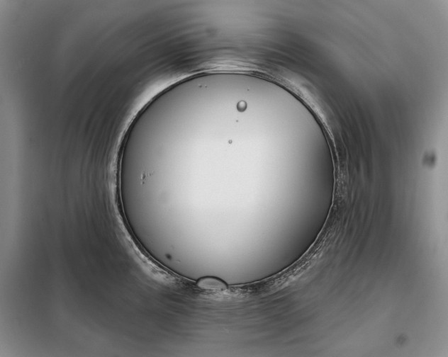 X0000098051195200804111305