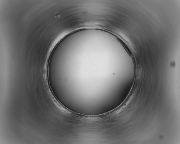 X0000098051196200804111305