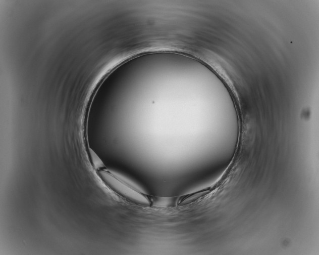 X0000098051197200804111305