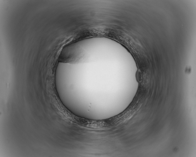 X0000098051201200804111304