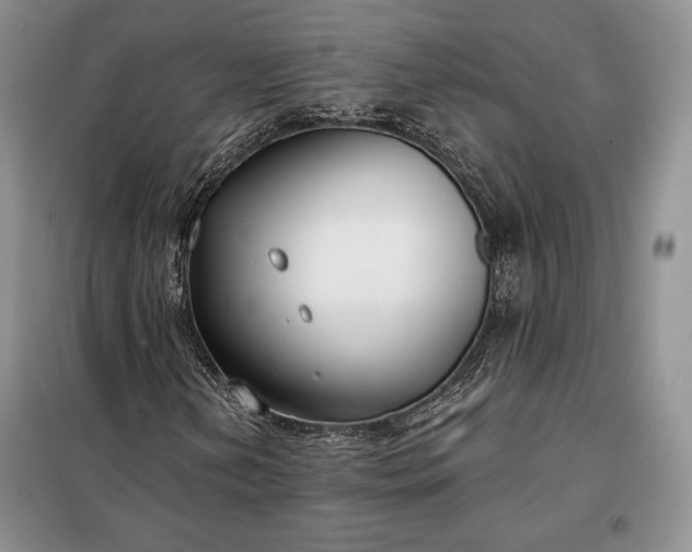 X0000098051202200804111304