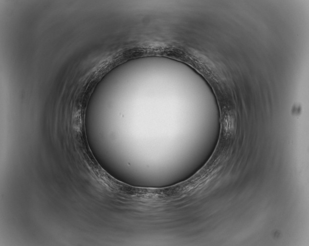 X0000098051204200804111304