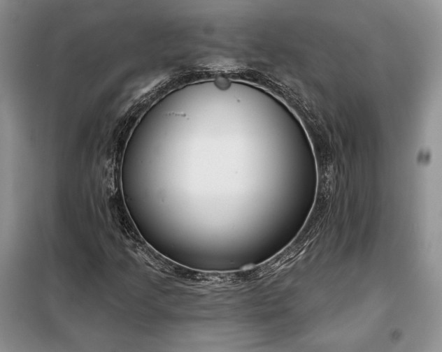 X0000098051205200804111304