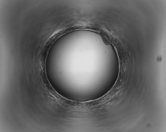 X0000098051206200804111304