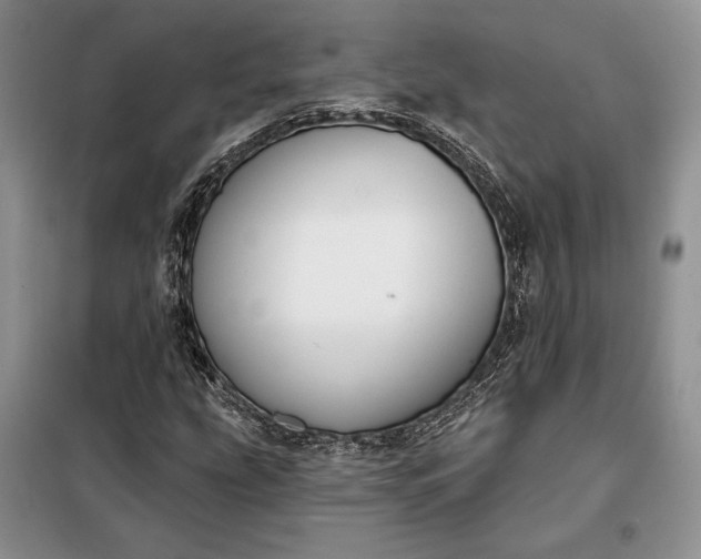 X0000098051207200804111304