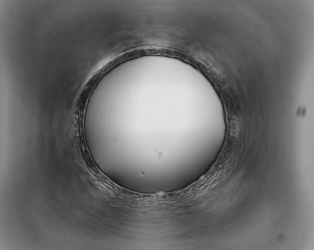 X0000098051208200804111304