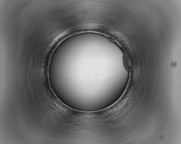 X0000098051210200804111304